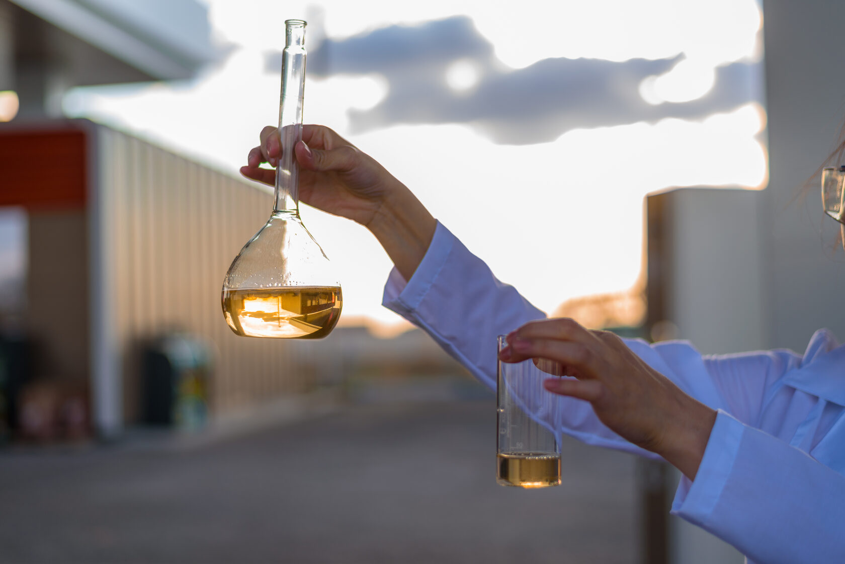 tild6663-6261-4631-b564-373836626164__dsc_6659